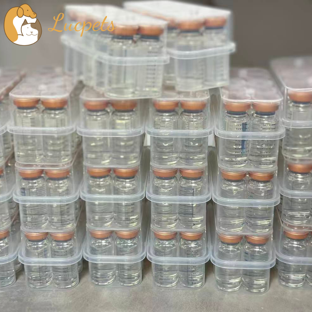 Wholesale Feline GS-441524: A Buyer’s Guide to Quality Supply