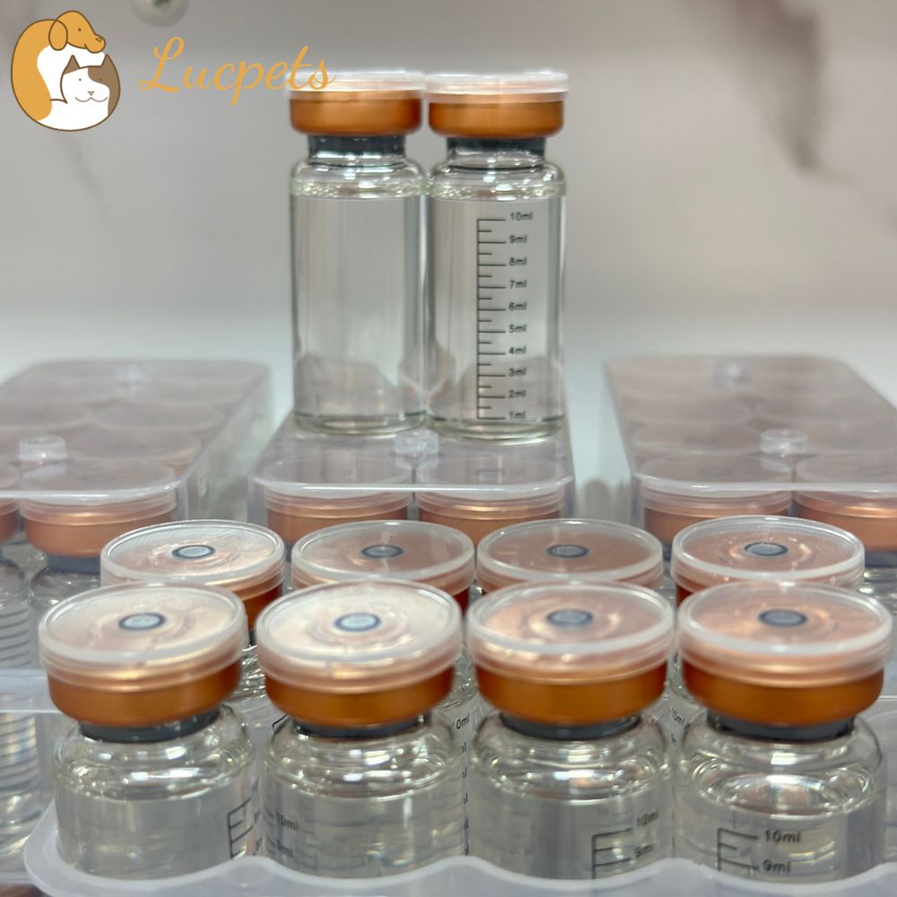 Bulk GS-441524 FIP Treatment: What Cat Owners Need to Know
